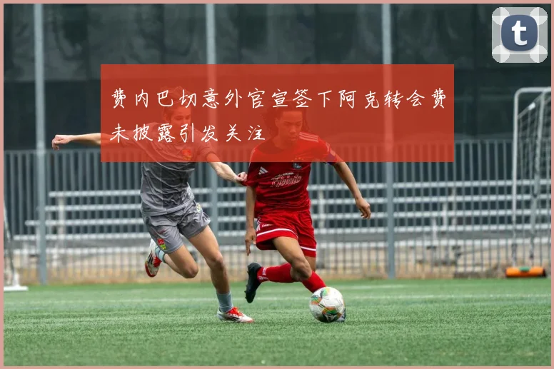 费内巴切意外官宣签下阿克转会费未披露引发关注