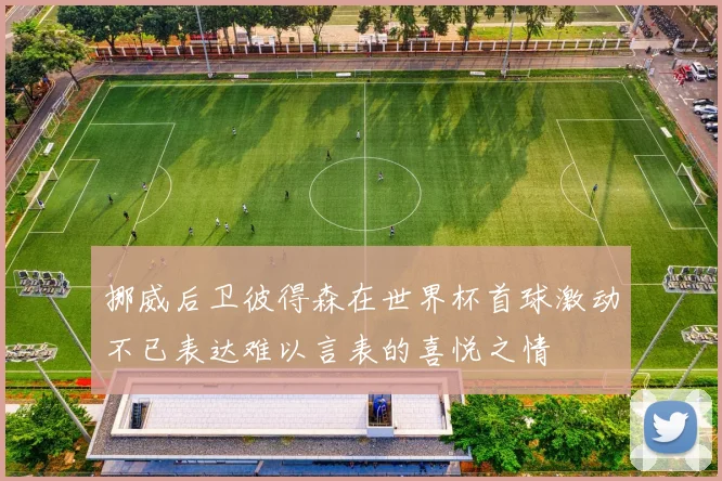 挪威后卫彼得森在世界杯首球激动不已表达难以言表的喜悦之情
